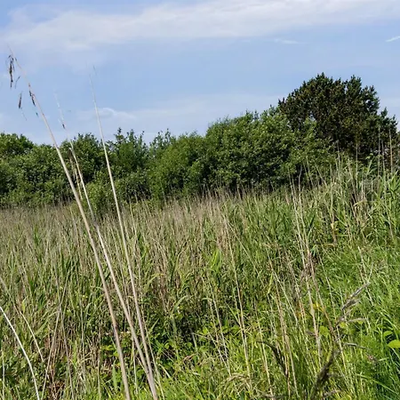 Ferienhaus Hunlef - 1-7km From The Sea By Interhome *